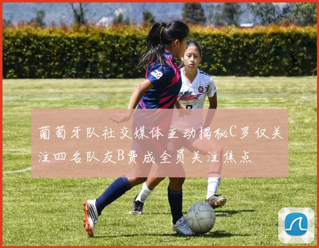 葡萄牙队社交媒体互动揭秘C罗仅关注四名队友B费成全员关注焦点